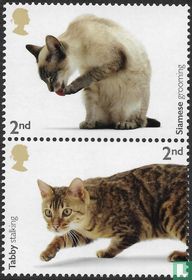 Les chats