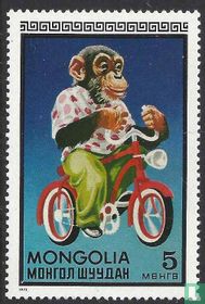 Circus