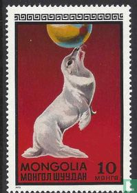 Circus