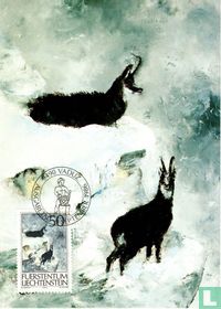 Chasse