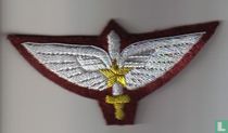 Master Para Commando Wings
