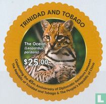 Ocelot