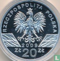 Polen 20 zlotych 2009 (PROOF) "European green lizards" kopen