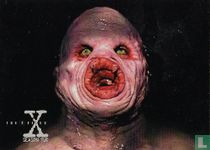 Human tapeworm