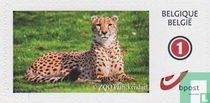 ZOO Planckendael