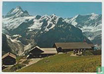 Grindelwald Bergstation und Restaurant First Schreckhorn und Fiescherhörner Bern Schweiz Ansichtskarten, Postcard