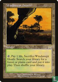Windswept Heath