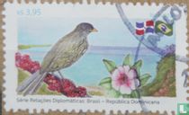 Palmchat for sale