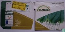 Poireau Flandria