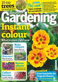 Amateur Gardening 11-26