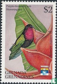 Purpurkehlkolibri ♂ kaufen