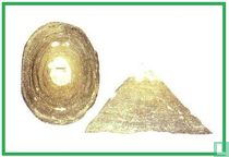 Clathrosepta undulata