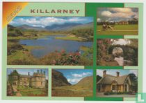 Killarney Kerry Ireland Postcard