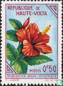Fleurs acheter