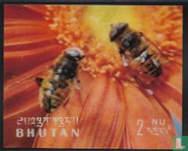 insects
