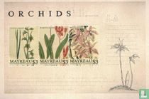 Orchidées