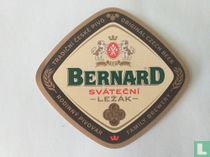 Bernard Svatecni Lezak 