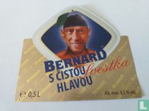 Bernard Svestka 