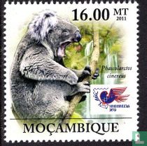 Koala