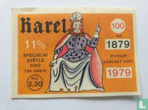 Karel specialni svetle pivo  