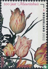 200 years of the Mauritshuis