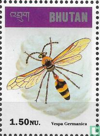 Insects and spiders