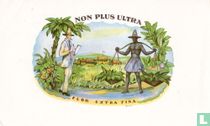 Non Plus Ultra - Flor Extra Fina - GKm 24493