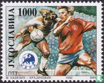 Championnat d'Europe de football