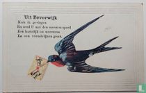 Uit Beverwijk....