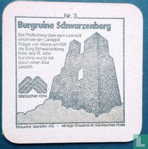 03 Burgruine Schwarzenberg