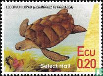 Lederschildpad