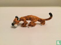 Gatogordo