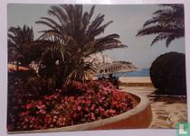 Banyuls-sur-Mer"estel"