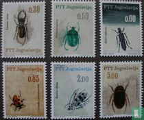 Beetles