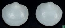Divalucina cumingi