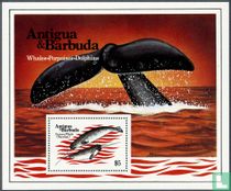 Baleines 