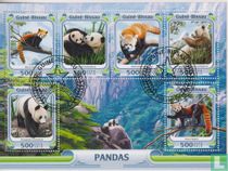 Panda´s