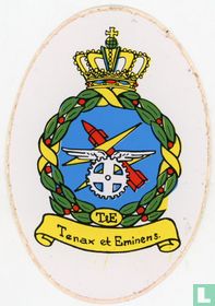 T&E Squadron Tenax et Eminens