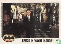 Bruce in Wayne Manor / Crash!
