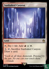Sunbaked Canyon