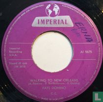  Walking to New Orleans