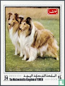Chiens acheter