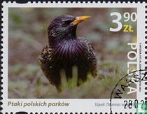 Oiseaux de Pologne
