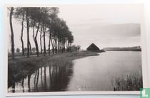 Kreek , Groede