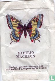 Papilio Machaon - Vanessa IO