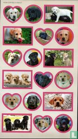 Chiens guides d'aveugles - Geleidehonden voor blinden