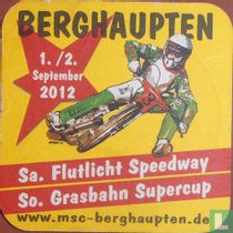 www.msc-berghaupten.de