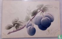 Prune s et chenille 1905.