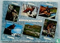 Images de chez nous. Animaux de nos mos montagne.