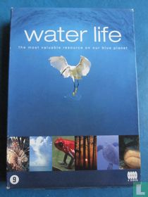 Water Life